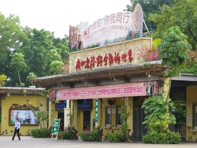 中港打车-香港来往番禺