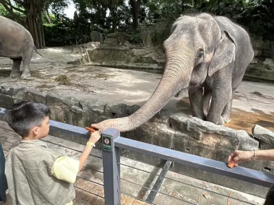 深圳野生動物園訂車