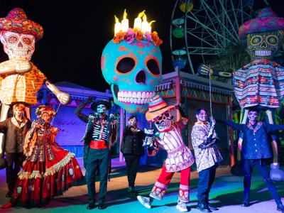 海洋公園跨境包車book車服務